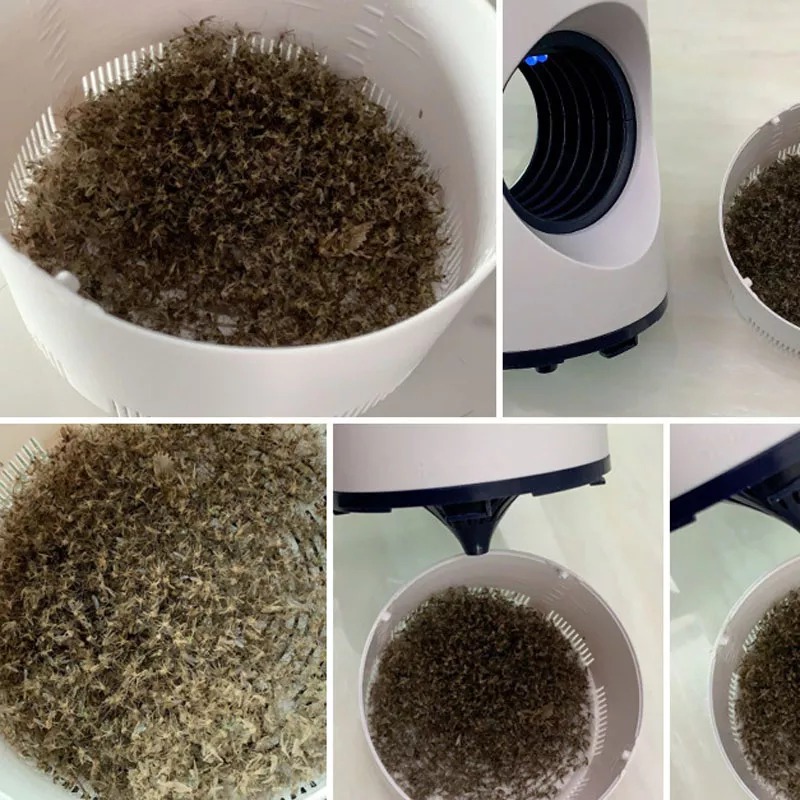 Mosquito Killer Lamp – Safe & Effective Indoor Bug Zapper Light